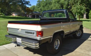 Chevrolet-Silverado-c10-1984-5