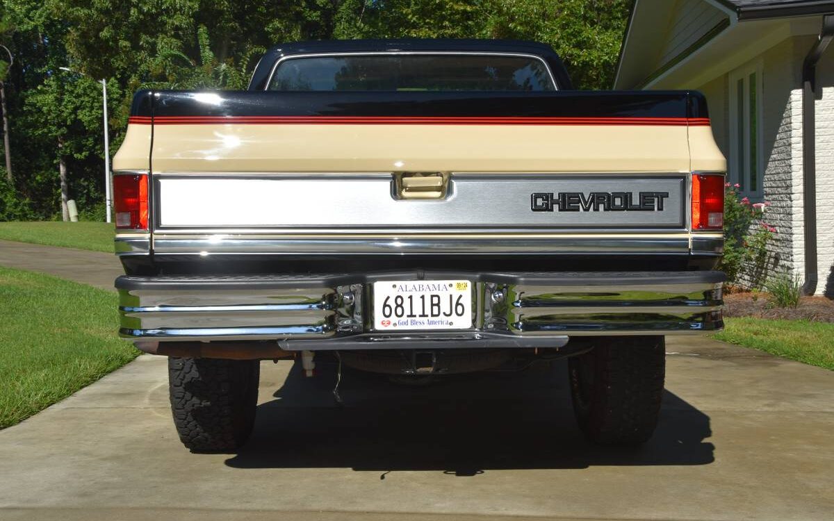 Chevrolet-Silverado-c10-1984-6