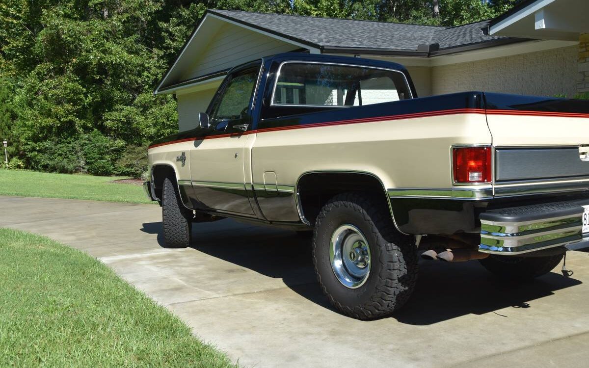 Chevrolet-Silverado-c10-1984-9