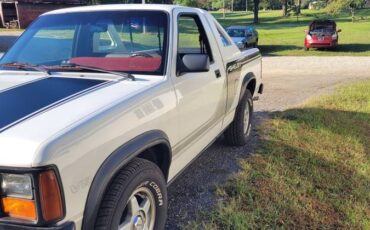 Dodge-Shelby-dakota-1989-3