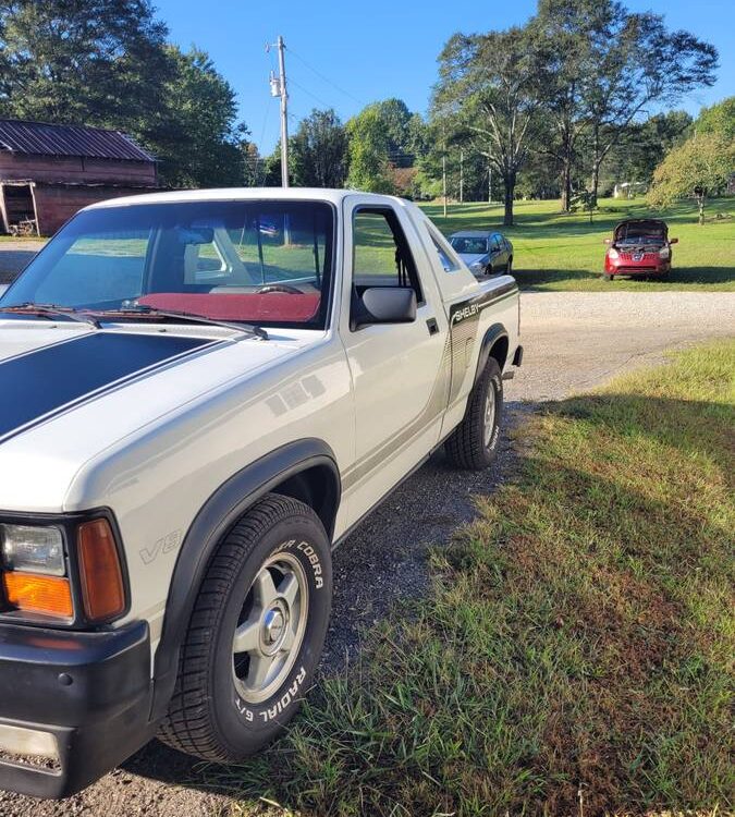 Dodge-Shelby-dakota-1989-3