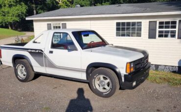 Dodge-Shelby-dakota-1989