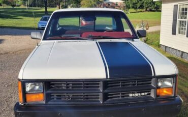 Dodge-Shelby-dakota-1989-4