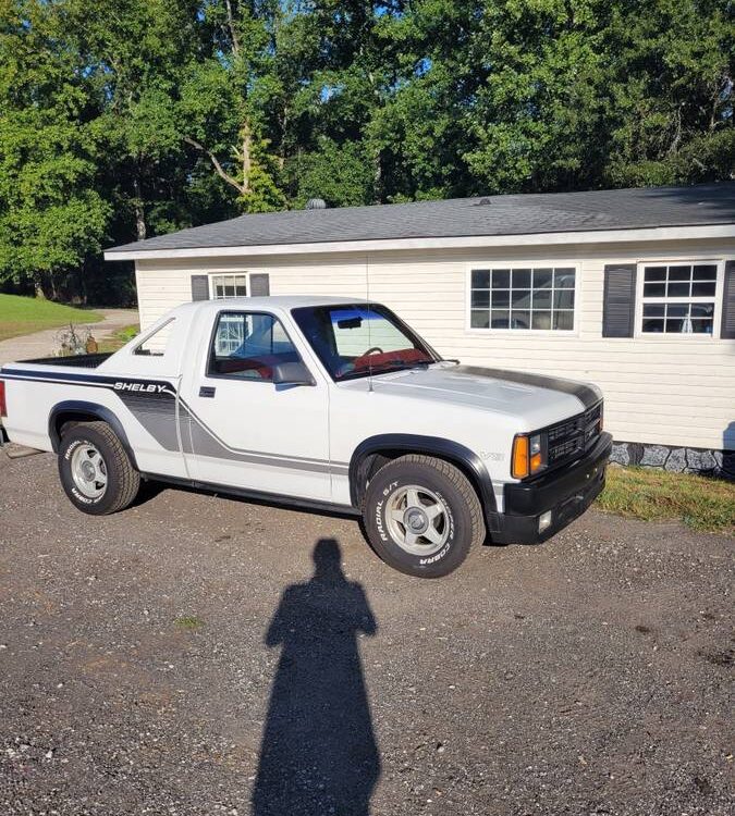 Dodge-Shelby-dakota-1989