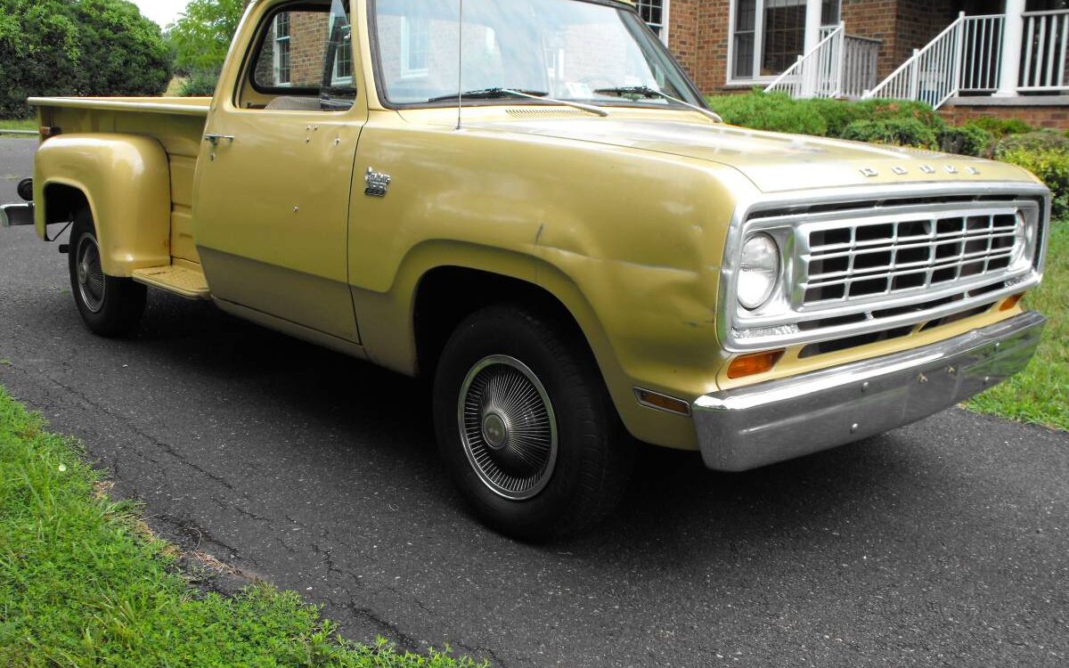 Dodge-Step-side-custom-100-1974-1