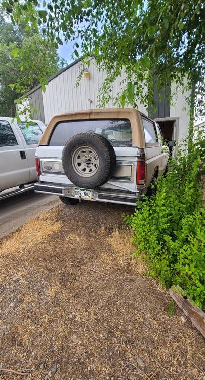 Ford-Bronco-xlt-1984-8