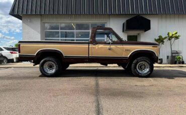 Ford-F-250-1982-22