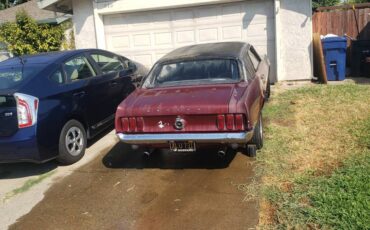 Ford-Mustang-coupe-1969-4