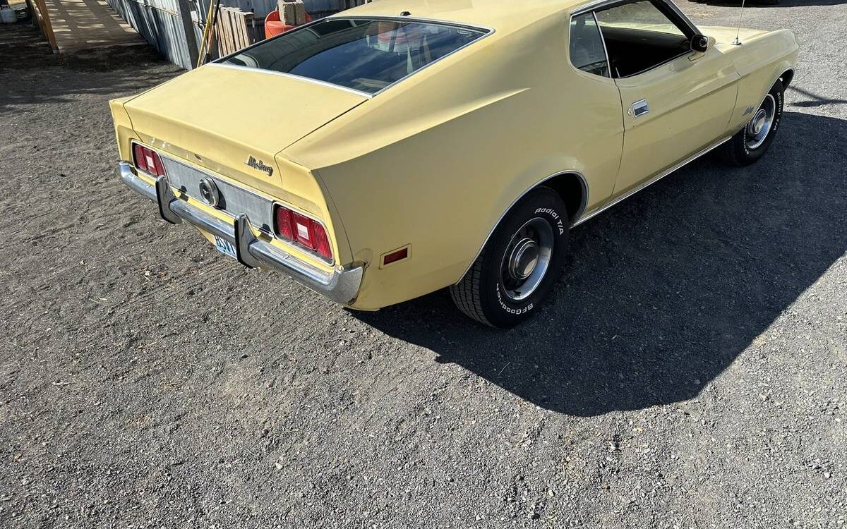 Ford-Mustang-fasback-1972-2