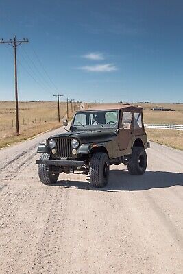 Jeep-CJ-SUV-1977-4