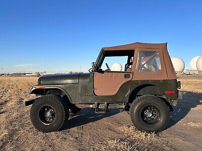 Jeep-CJ-SUV-1977-6