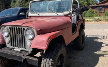 Jeep-Cj5-1975-1