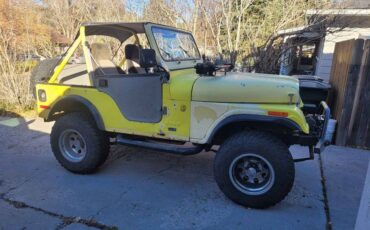 Jeep-Cj5-1976-1