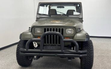 Jeep-Wrangler-1994-13