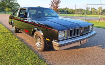 Oldsmobile-Cutlass-442-1979-3