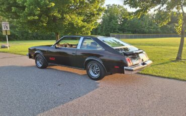 Oldsmobile-Cutlass-442-1979