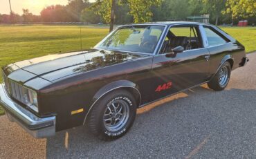 Oldsmobile-Cutlass-442-1979-5