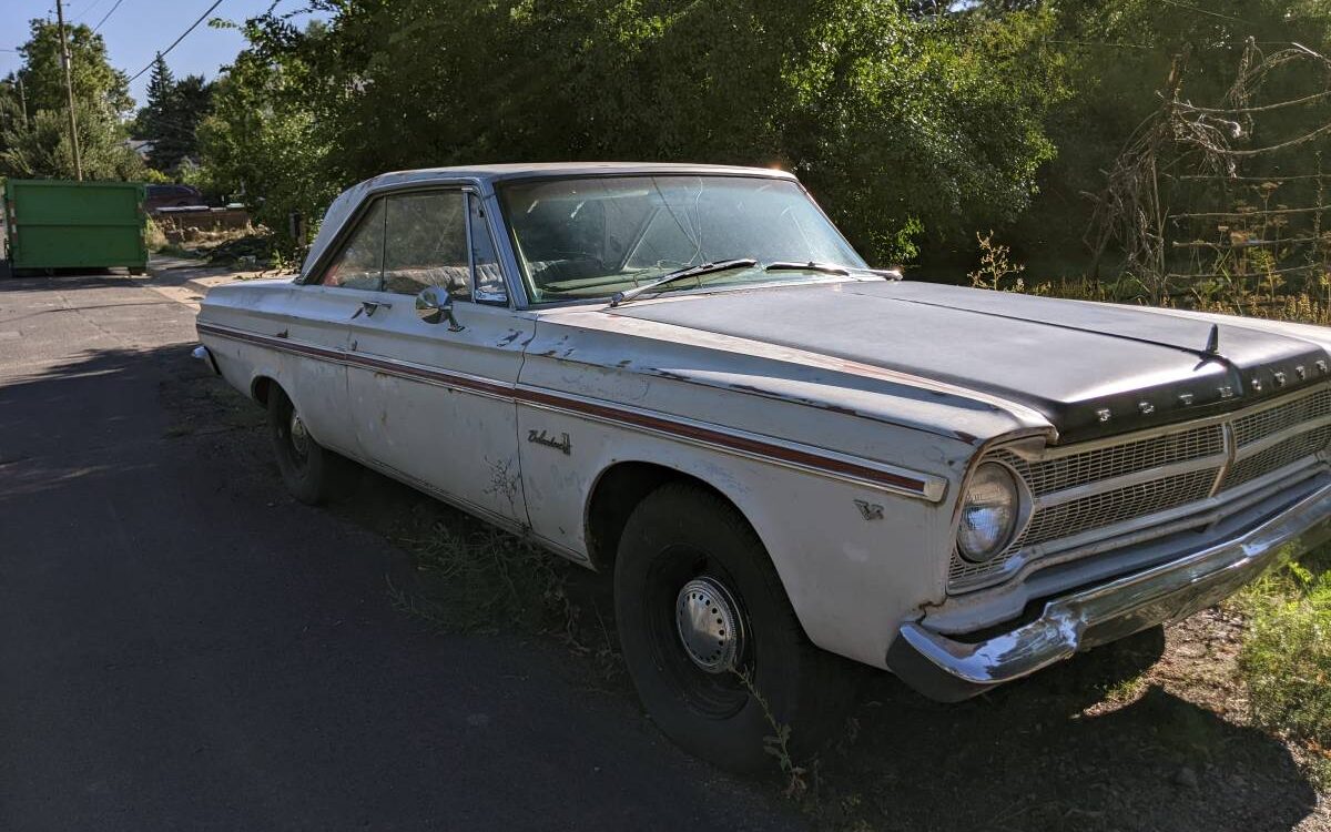 Plymouth-Belvedere-ii-1965-11