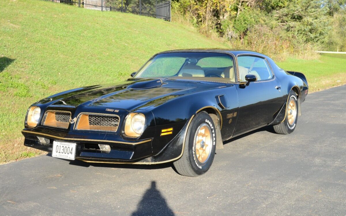 Pontiac-Trans-Am-Coupe-1976-1