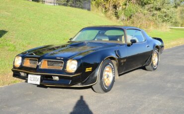 Pontiac-Trans-Am-Coupe-1976-1