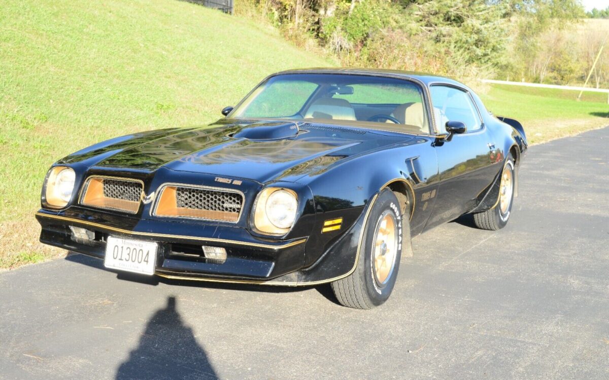 Pontiac-Trans-Am-Coupe-1976-15