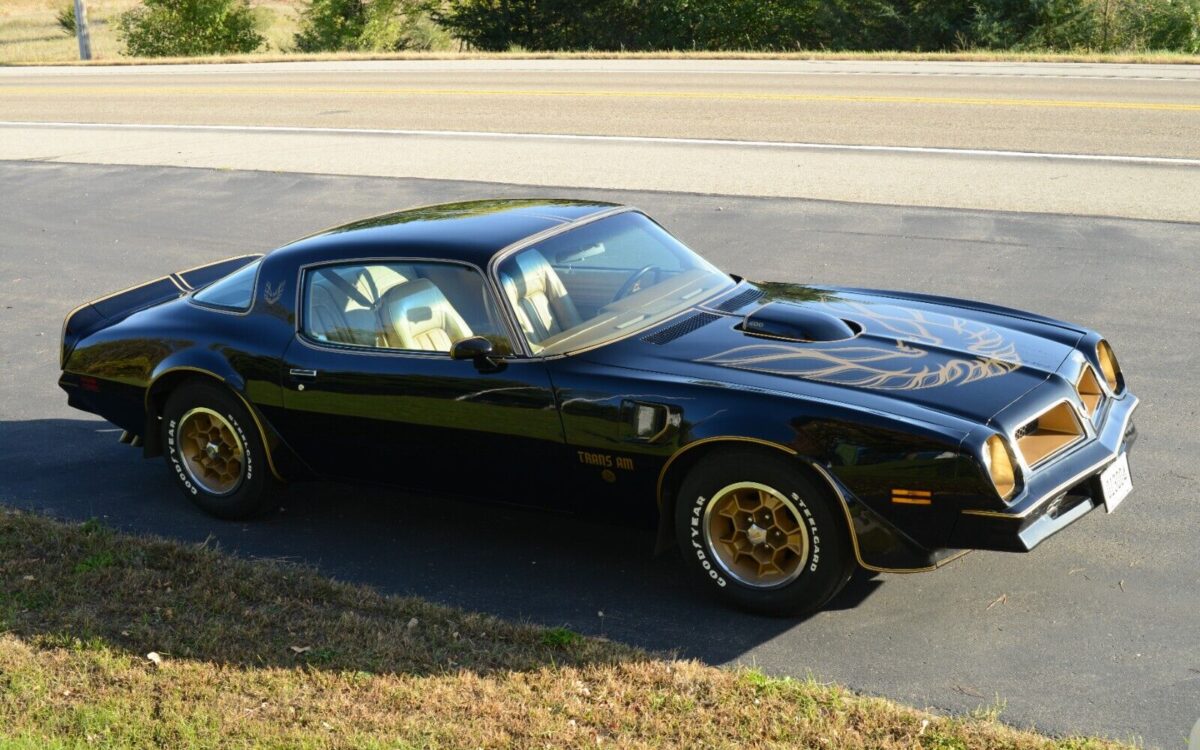 Pontiac-Trans-Am-Coupe-1976-18