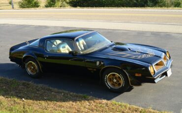 Pontiac-Trans-Am-Coupe-1976-18