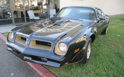 Pontiac Trans Am Coupe 1976 à vendre