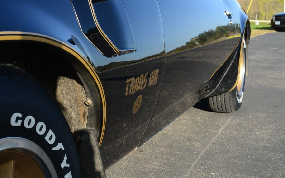 Pontiac-Trans-Am-Coupe-1976-6