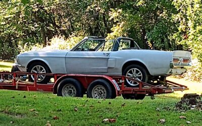 Shelby Convertible (clone) 1968