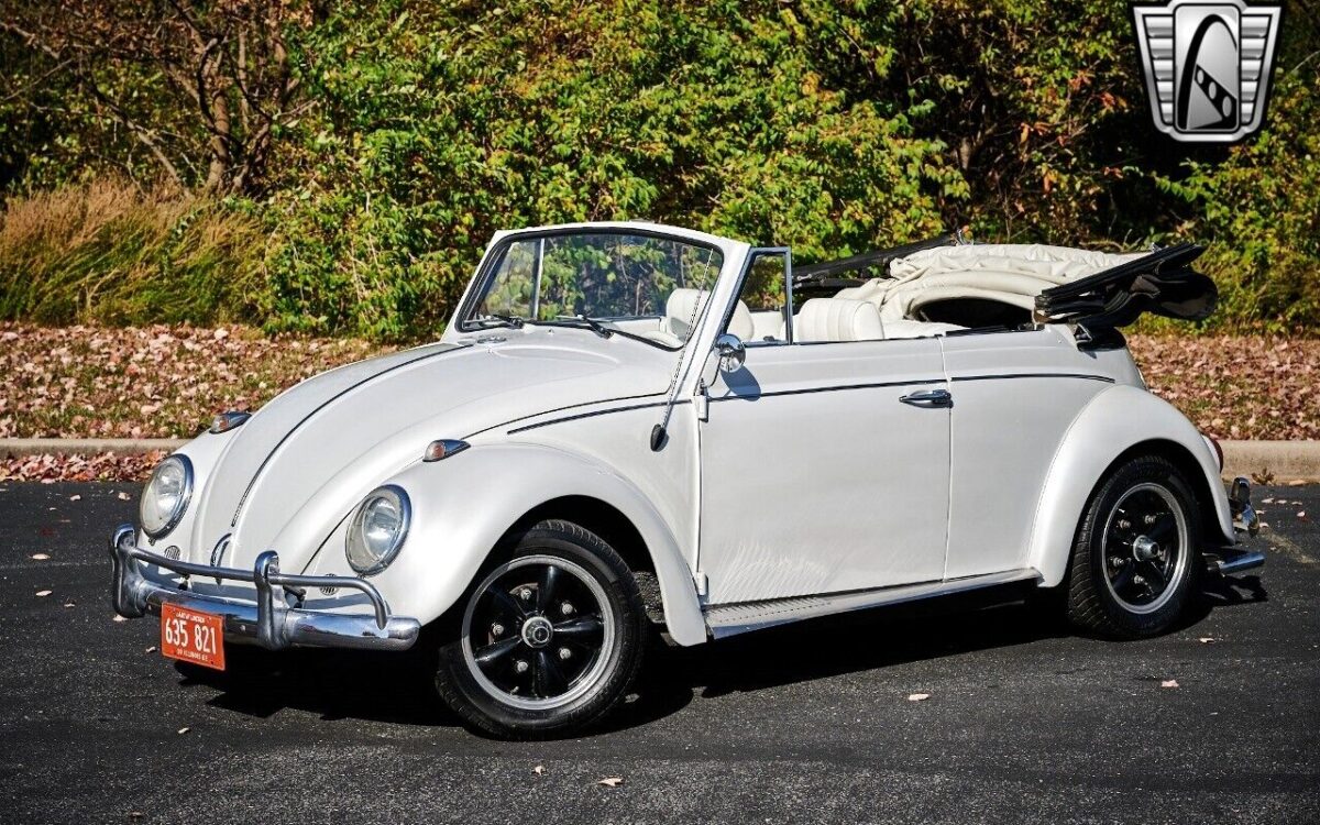 Volkswagen-Beetle-Classic-Cabriolet-1962-2