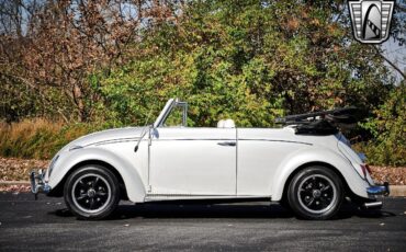 Volkswagen-Beetle-Classic-Cabriolet-1962-3