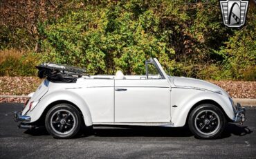 Volkswagen-Beetle-Classic-Cabriolet-1962-6