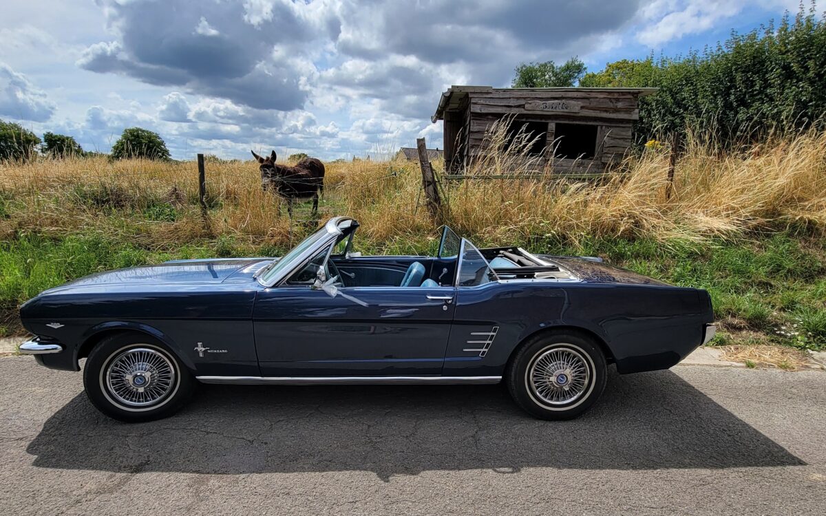 goodtimers-Ford-Mustang-1966-1