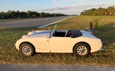 Austin-Healey-Other-1960-1