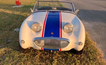 Austin-Healey Other  1960