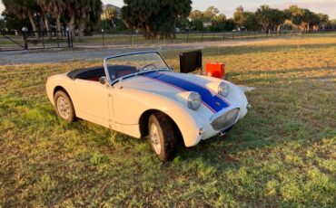 Austin-Healey-Other-1960-4