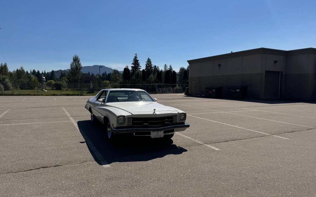 Buick-Century-1975-3