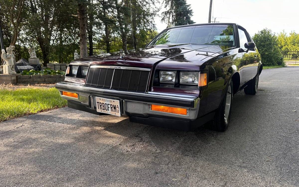 Buick-Turbo-regal-grand-national-1986-13