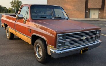 Chevrolet-1500-silverado-1983-15