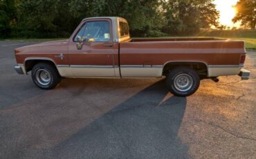 Chevrolet-1500-silverado-1983-16