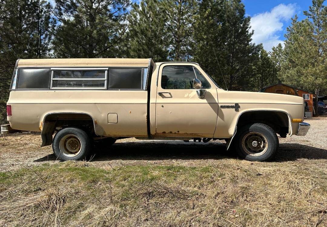 Chevrolet-4x4-1987-5