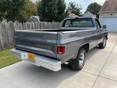 Chevrolet-C-10-Silverado-Pickup-1980-3