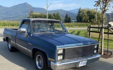 Chevrolet-C10-1981-5