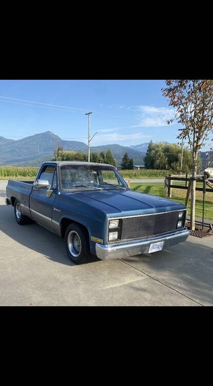 Chevrolet-C10-1981-5