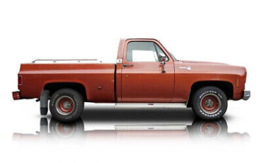 Chevrolet-C10-Pickup-1978-1