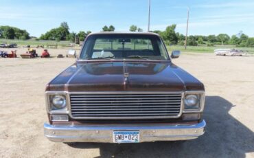 Chevrolet-C10-pickup-1978-1