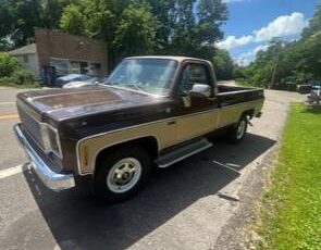 Chevrolet-C10-pickup-1978-10