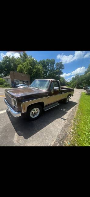 Chevrolet-C10-pickup-1978-10