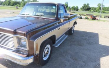 Chevrolet-C10-pickup-1978